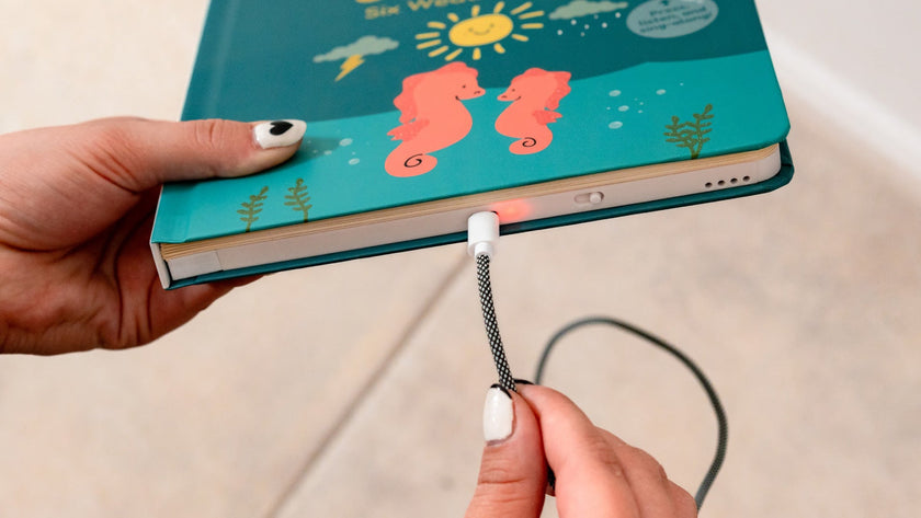 Rechargeable Sound Books: Longer Fun and Learning