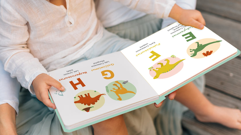 Discovering Dinosaurs: The Best Dinosaur Books for Your Little Paleontologist