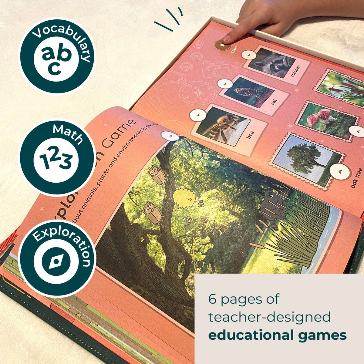 Cali's Books Bundles infinibook Starter