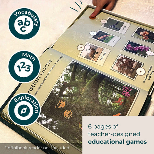 Cali's Books Recordable Booklets Robin Hood - infinibooklet